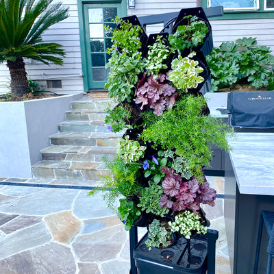 Winter Wonder Garden Wall Bundle