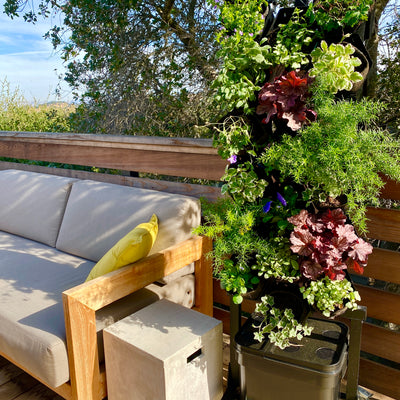 Winter Wonder Garden Wall Bundle