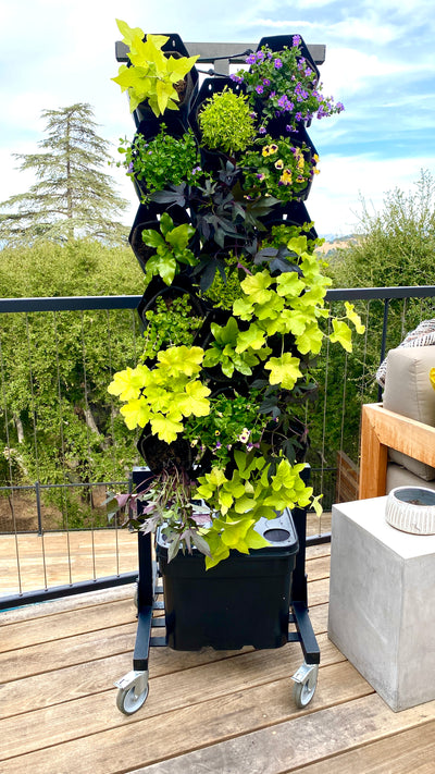 Neon Green Glow Planted Wall Bundle