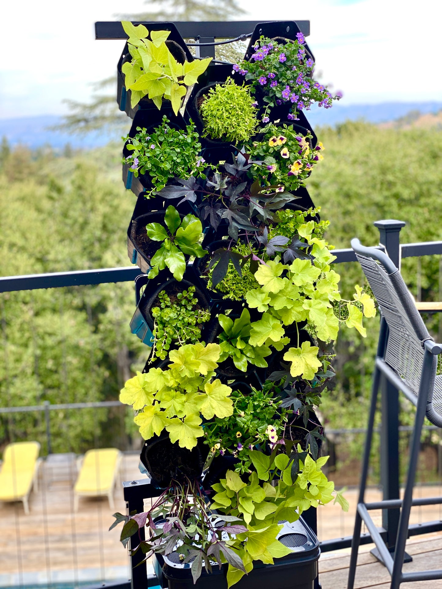 Neon Green Glow Planted Wall Bundle