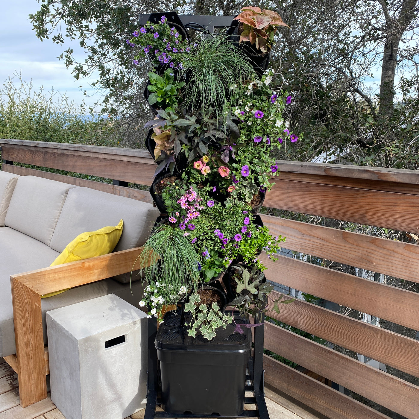 Cool Cottage Breeze Planted Wall Bundle