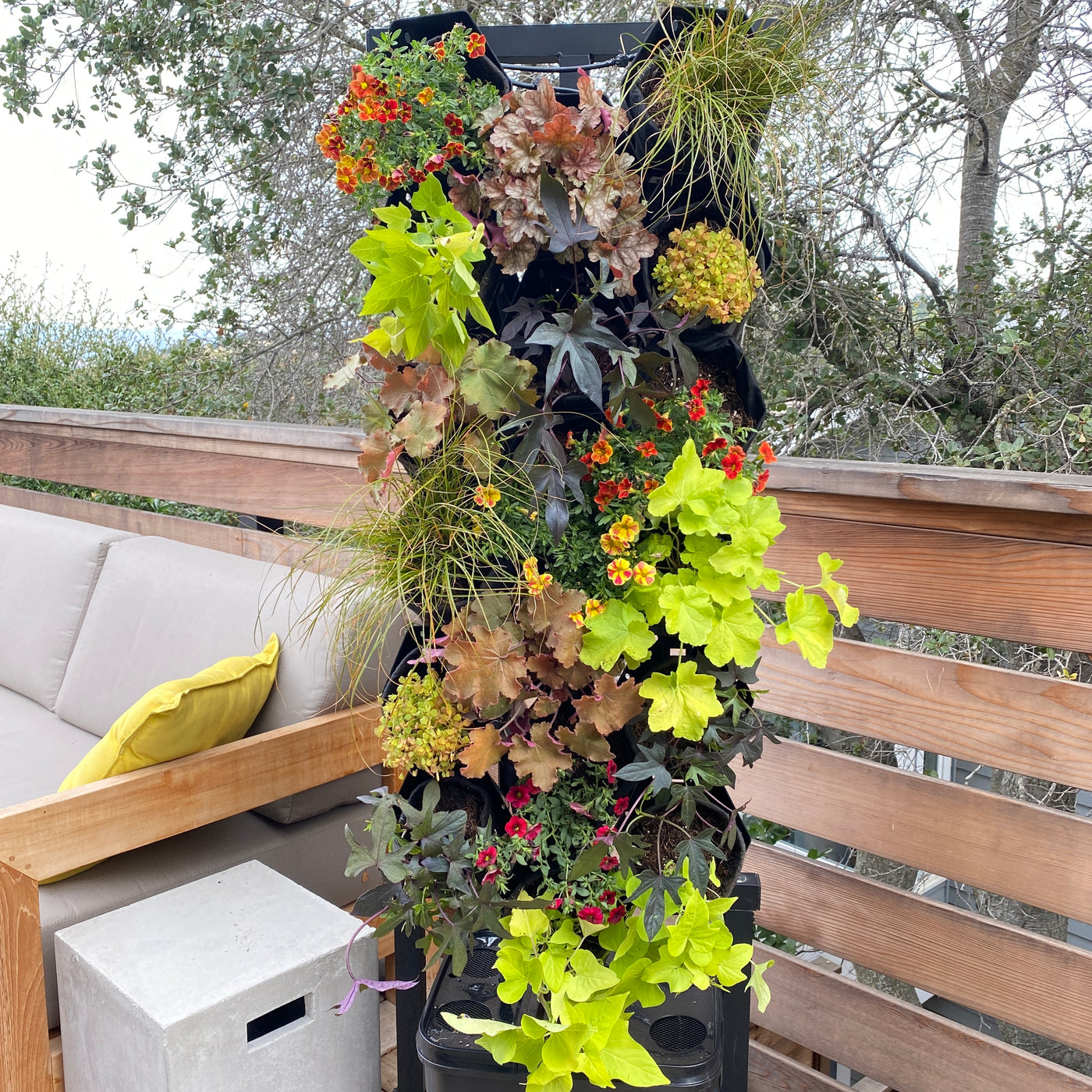 Vivid Warmth Planted Wall Bundle