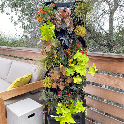 Vivid Warmth Planted Wall Bundle