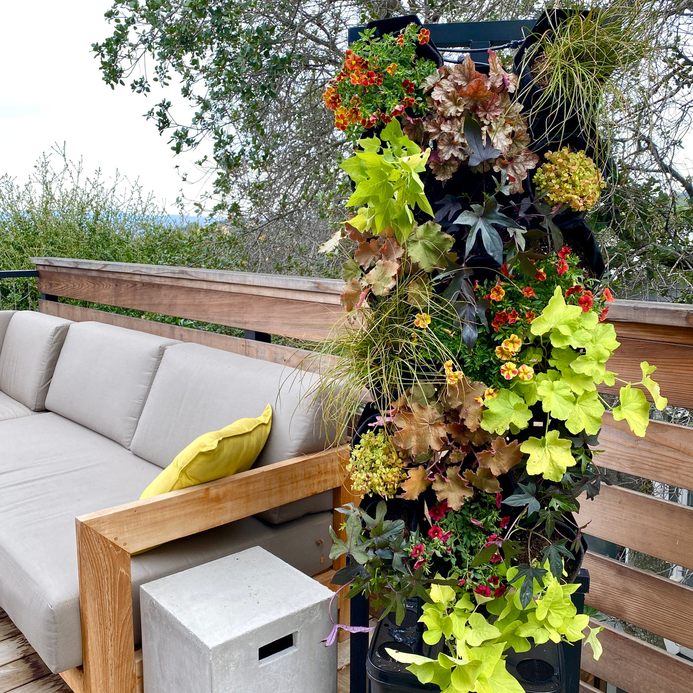 Vivid Warmth Planted Wall Bundle