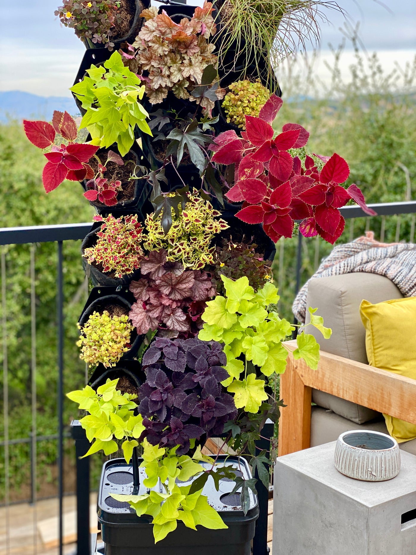 Fireside Planted Wall Bundle