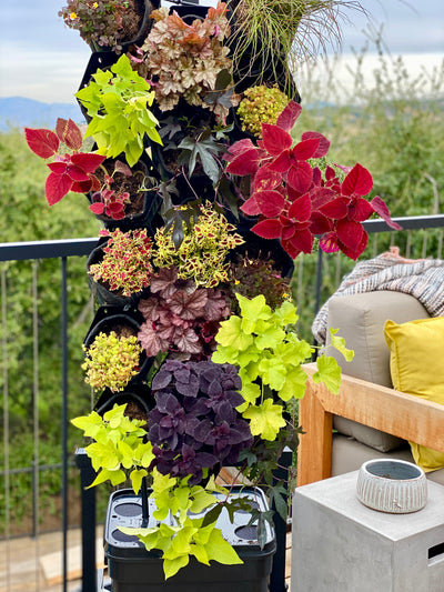 Fireside Planted Wall Bundle