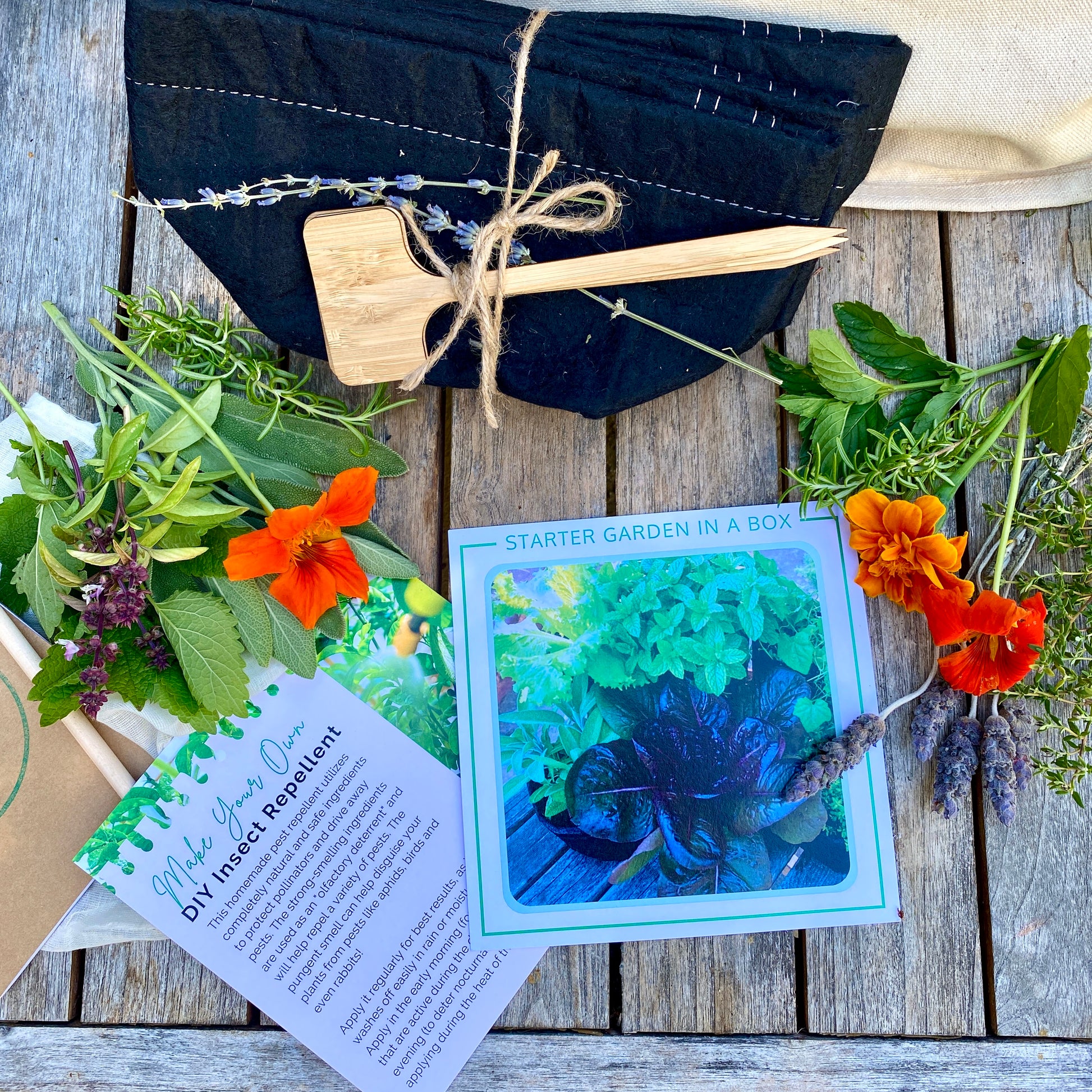 best places to buy seeds and starter plants Starter Garden Box + Mini-Course – Grow Your First Garden – Planted Places