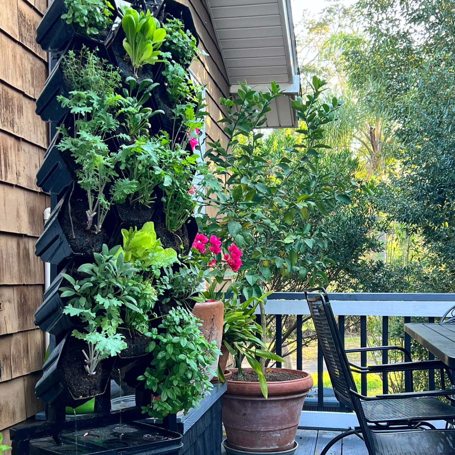 vertical wall hanging plants Planted Wall Vertical Garden Structure with Recirculating Water System Double-Sided (36 edible plants)
