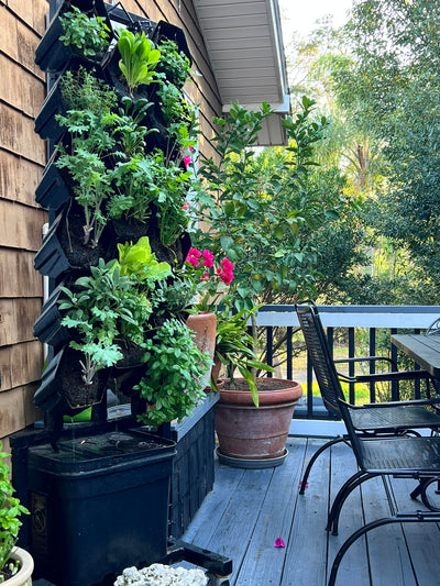 The Planted Wall