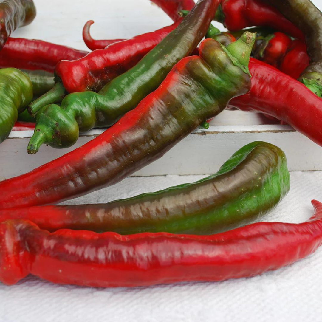 Ark of Taste Jimmy Nardello's Sweet Italian Frying Pepper - Seasonal Grow Kit