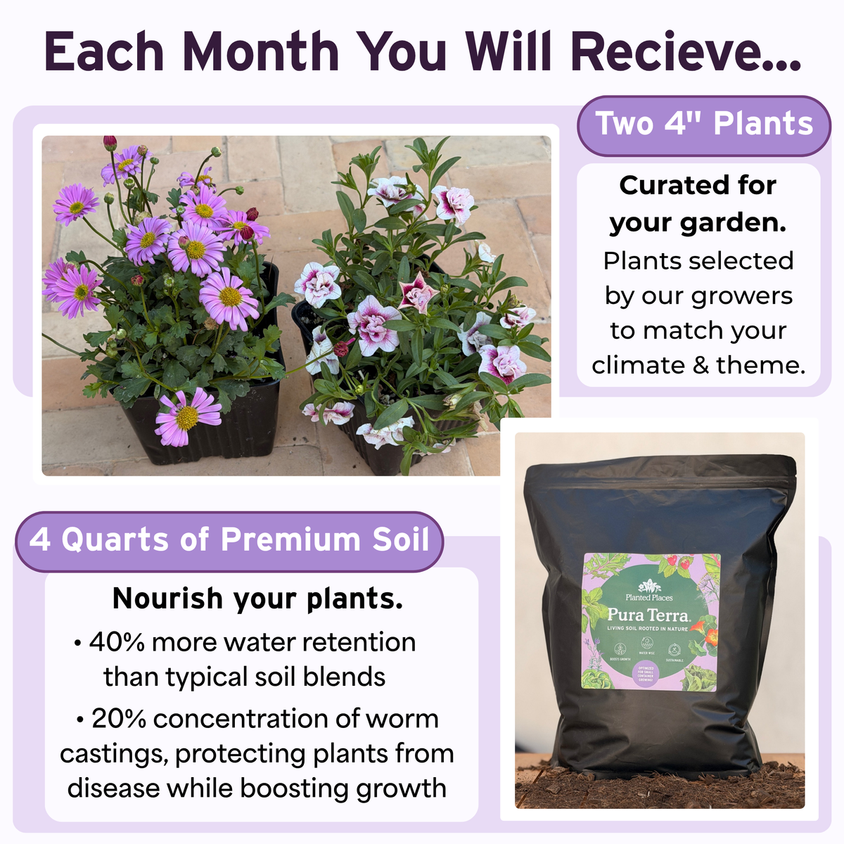 Monthly Floral Box Membership