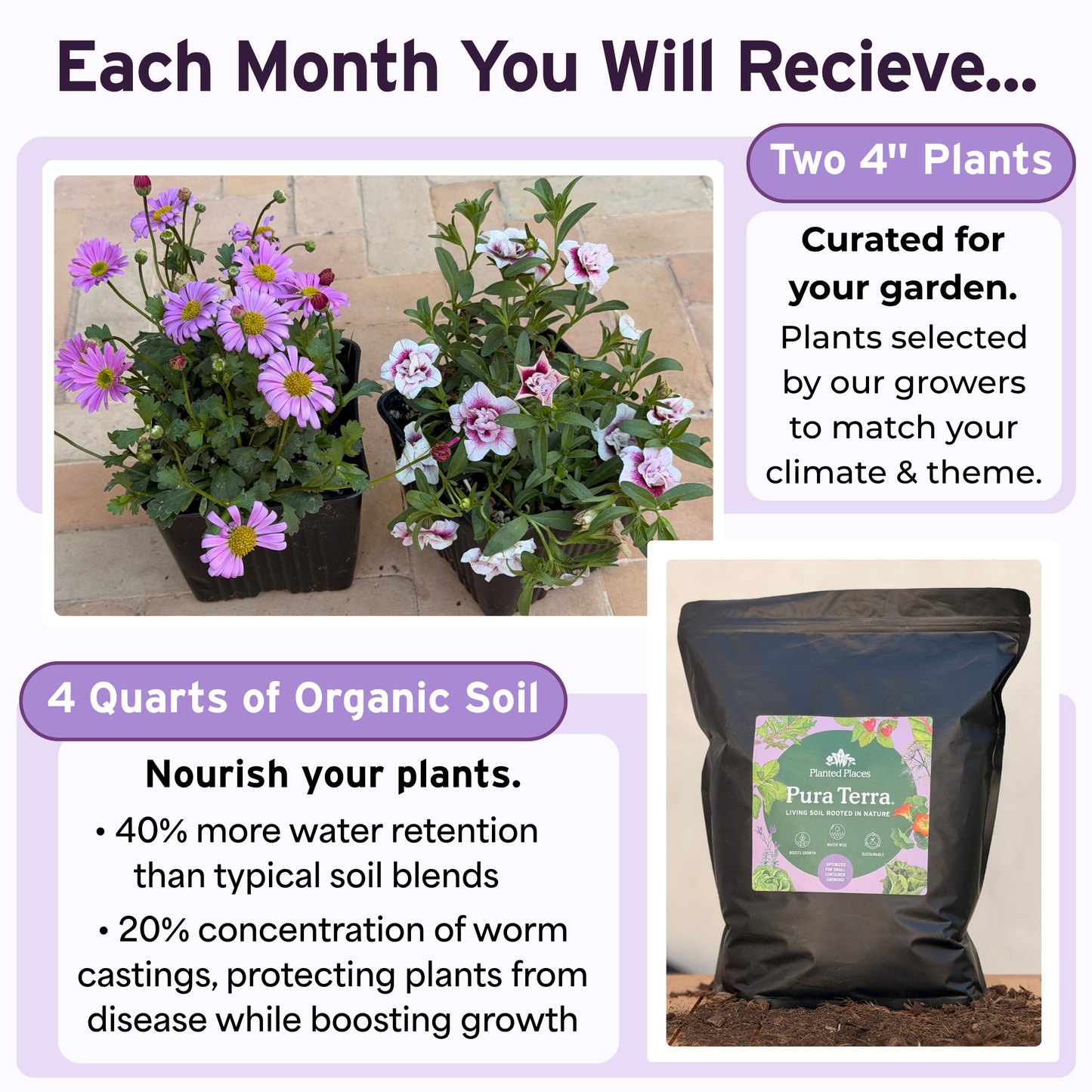 Pretty in Pink Monthly Floral Box