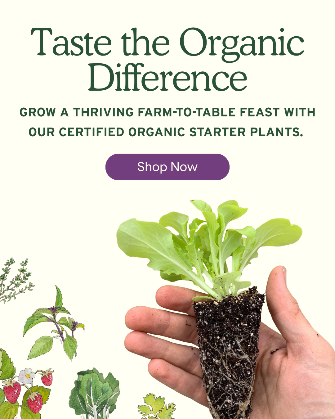 Open linked image
