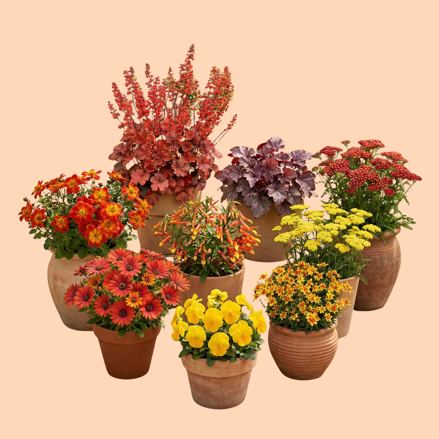 Fire Monthly Flower Box
