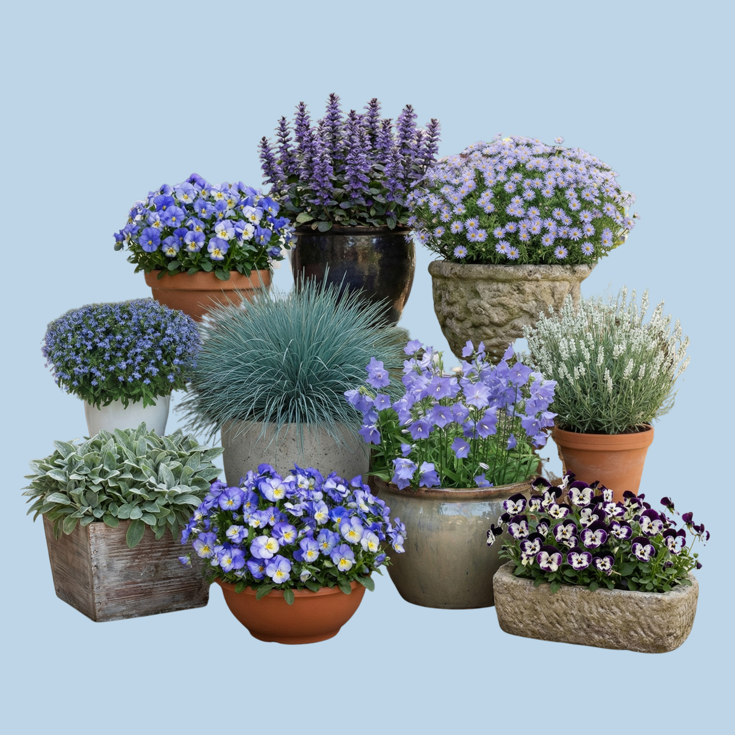 Cool Blue Monthly Flower Box