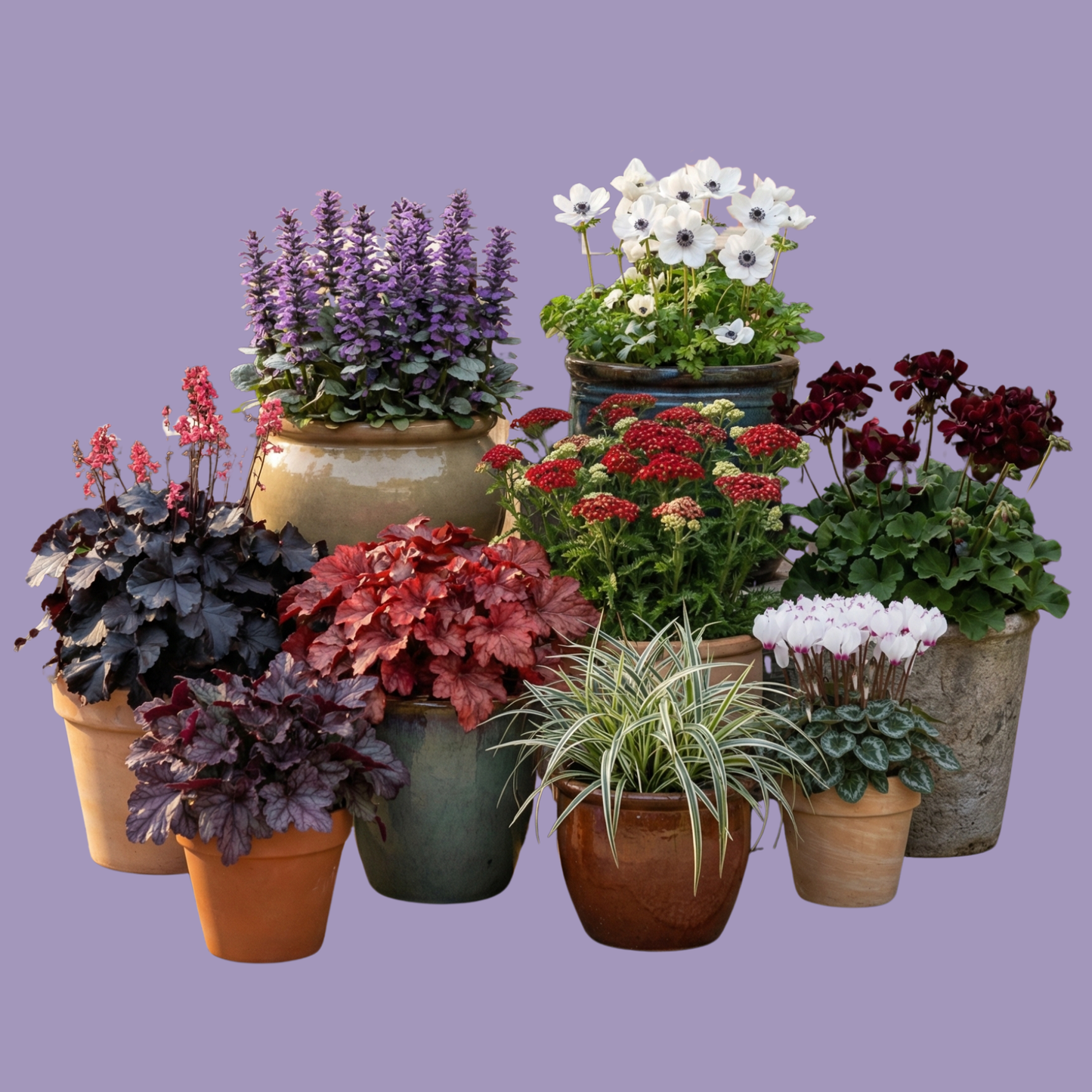 Gothic Monthly Flower Box