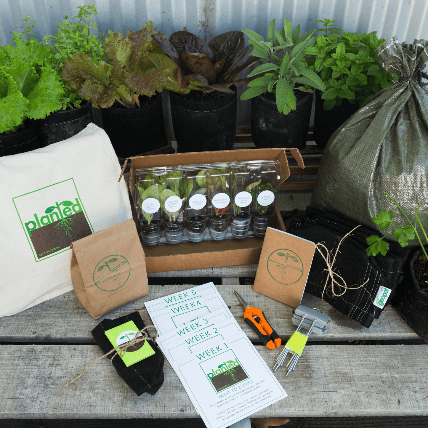 Seasonal Garden Kit + Seasonal Gardening and Cooking Digital Course
