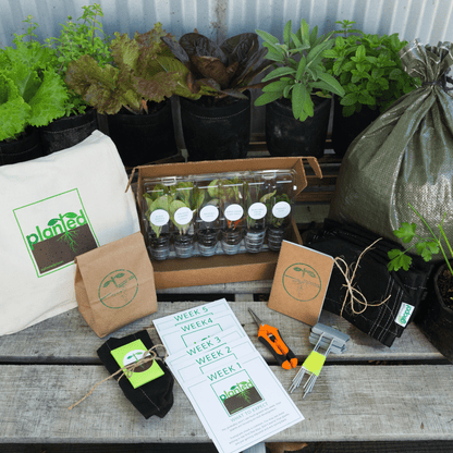 Seasonal Garden Kit + Seasonal Gardening and Cooking Digital Course