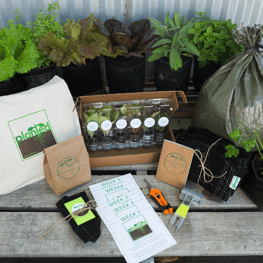 Seasonal Garden Kit + Seasonal Gardening and Cooking Digital Course
