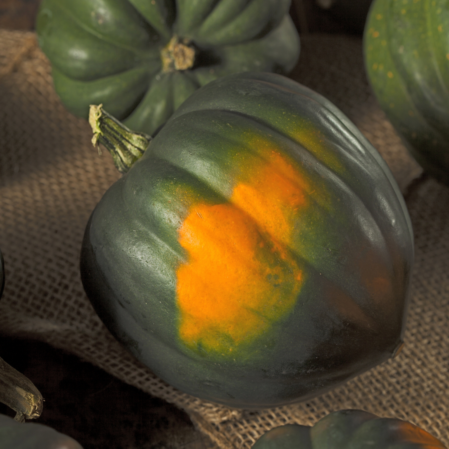 Table Queen Winter Squash