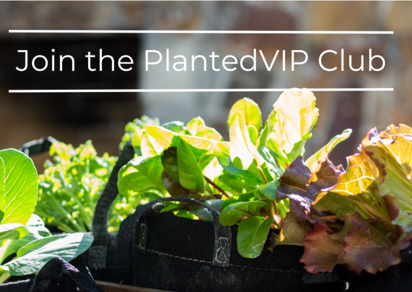 PlantedVIP Club