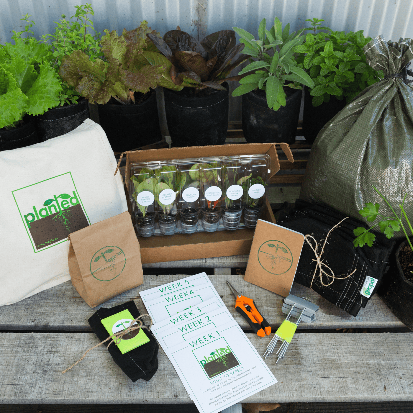 Seasonal Garden Kit