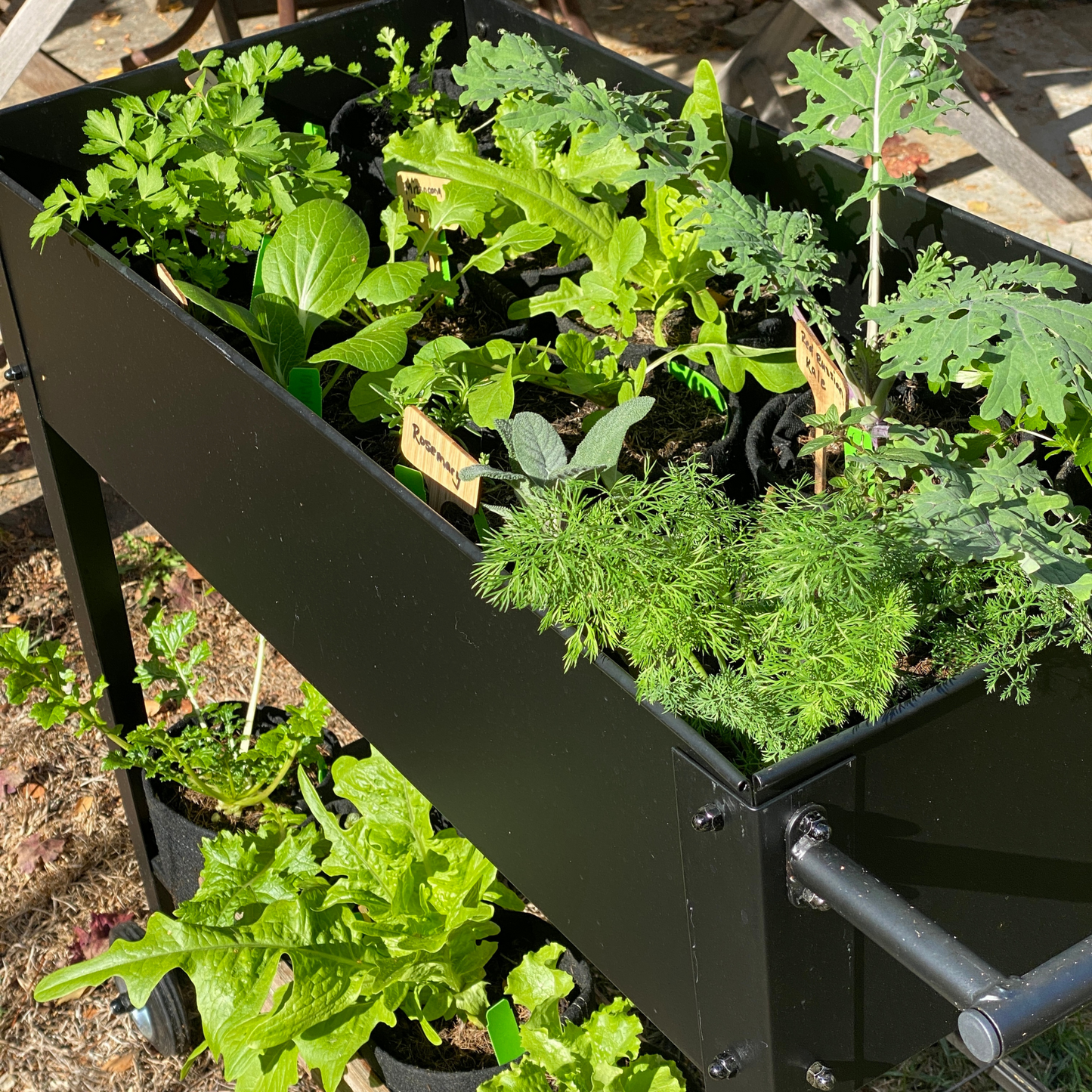 Custom Selection 6-Pack Garden Bundle
