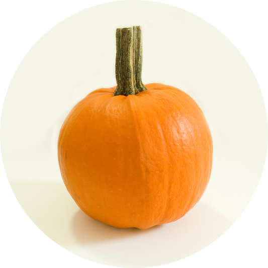 Baby Pam Pumpkin Squash