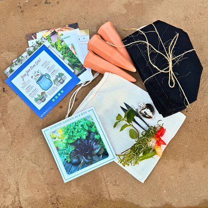 Starter Garden in a Box + Gardening Mini-Course