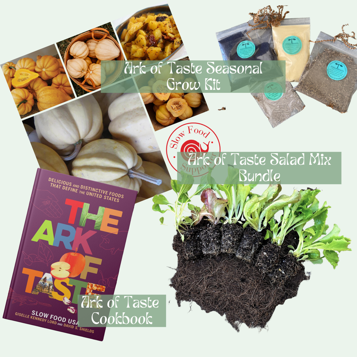 Ark of Taste Thelma Sanders Squash - Seasonal Grow Kit + 6-Pack Lettuce + AOT Book