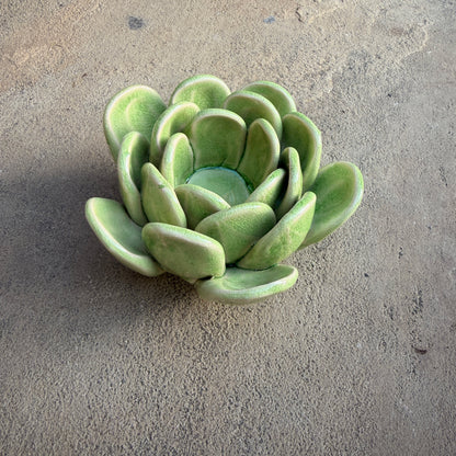 Succulent Ceramic Tea Light Votive