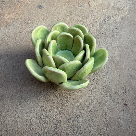 Succulent Ceramic Tea Light Votive