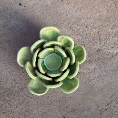Succulent Ceramic Tea Light Votive