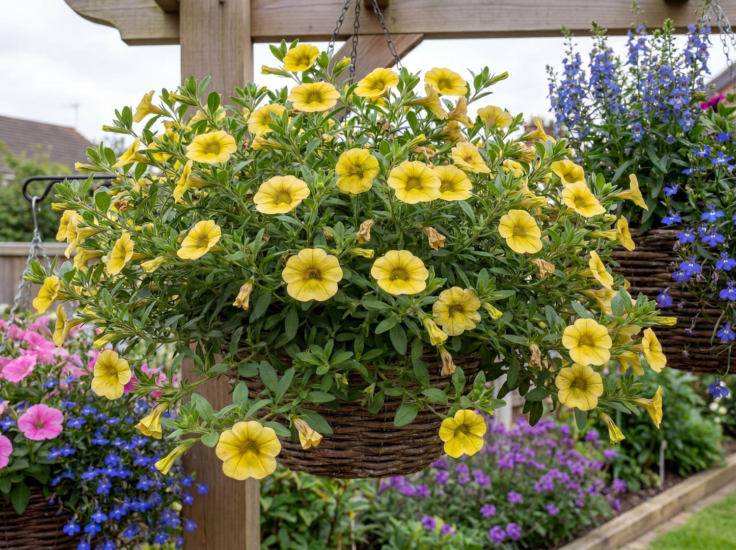 MiniFamous Uno Yellow Calibrachoa