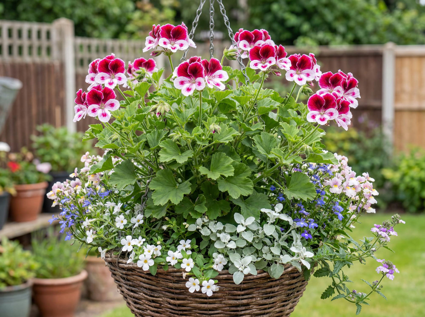 Angels Perfume Scented Geranium