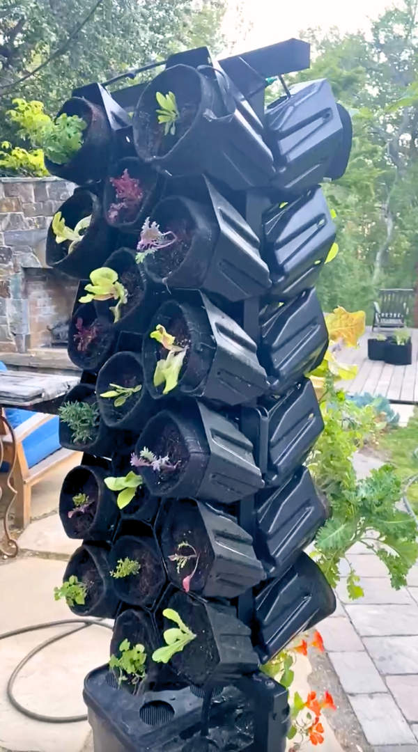 Planted Wall Double-Sided Upgrade Kit