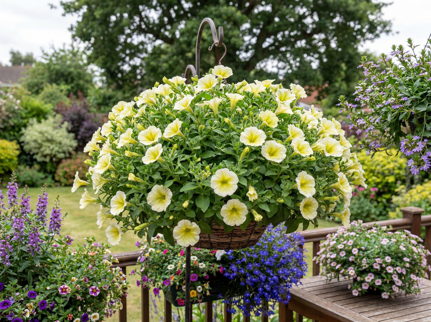 Durabloom Yellow Petunia