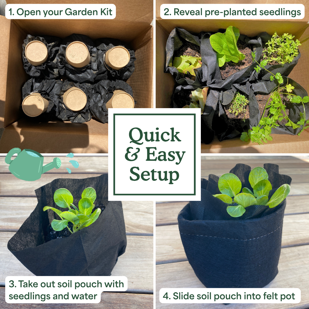 The Seasonal Garden Kit