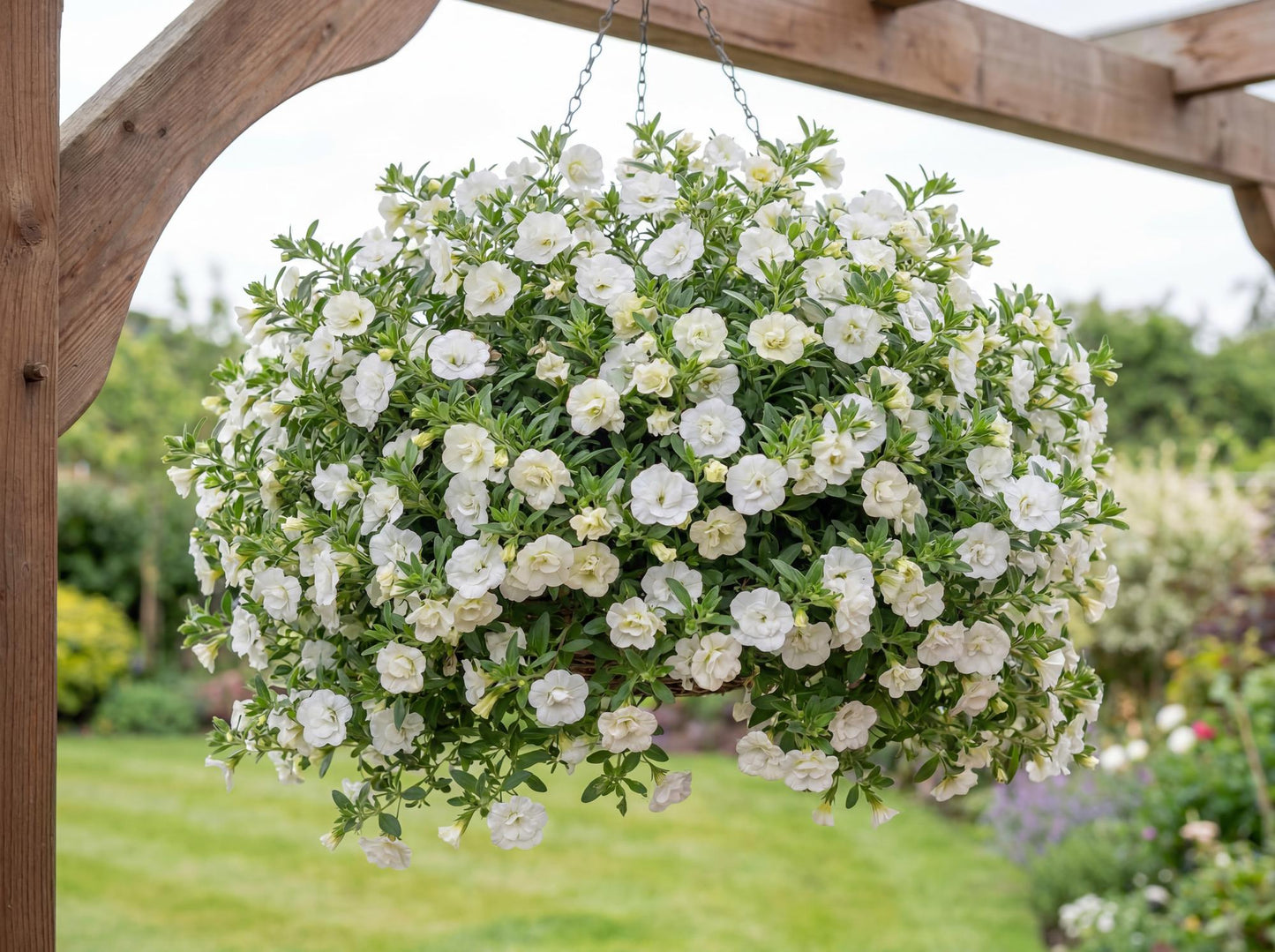 Double White Calibrachoa Uno