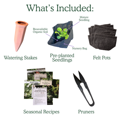 Organic Herb Garden Kit