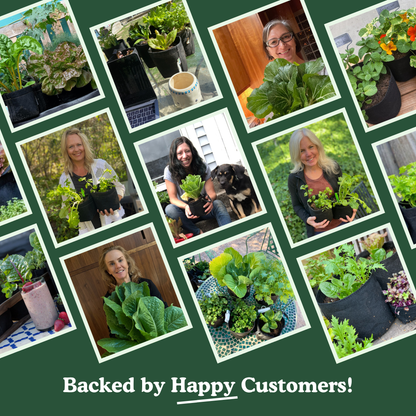 Organic Herb Garden Kit