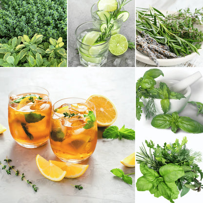 Mixology Herb Garden Kit