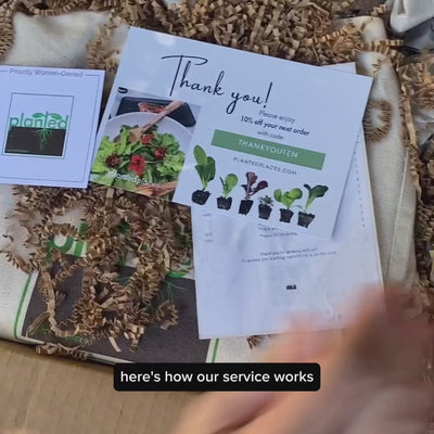 Seasonal Garden Kit