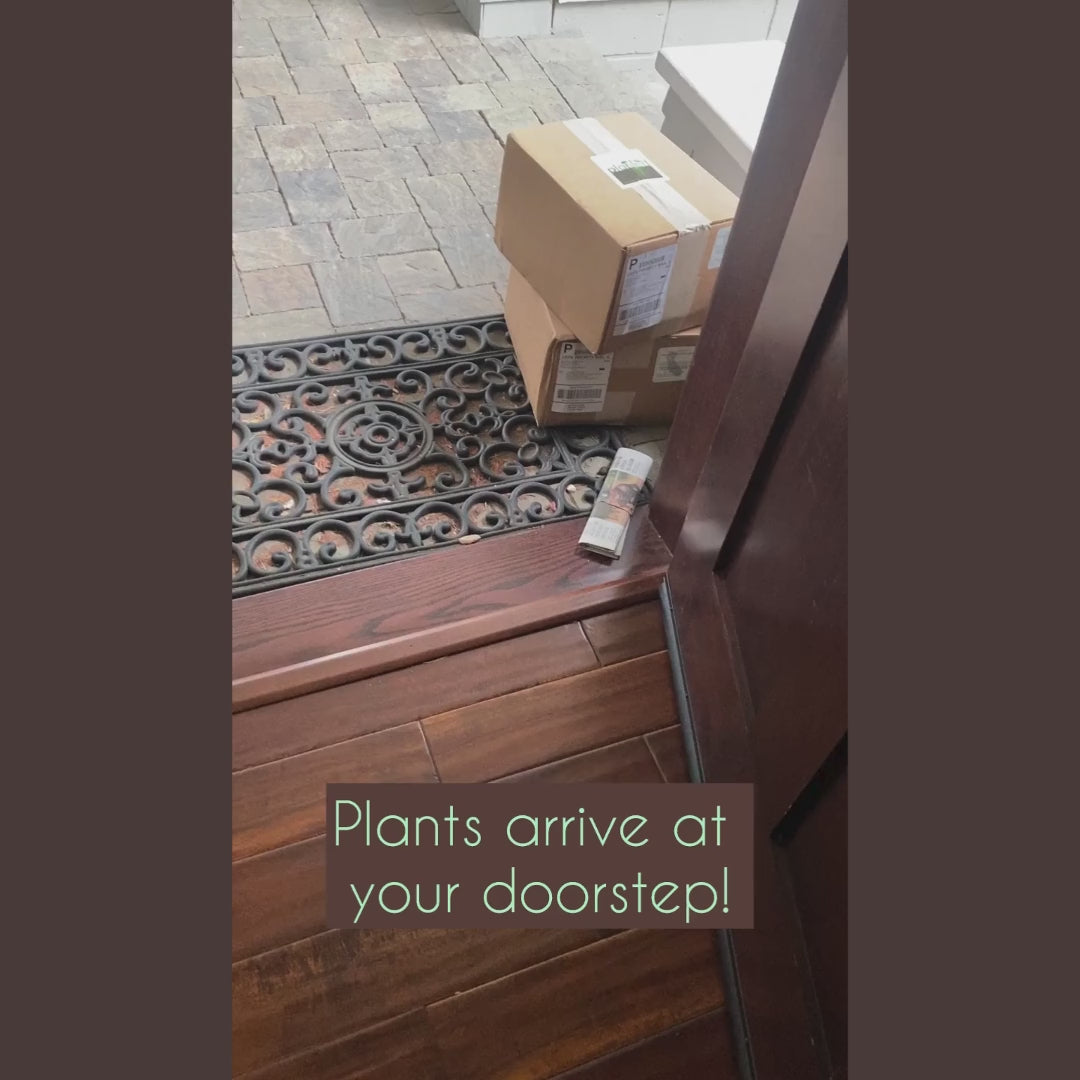Seasonal Garden Kit