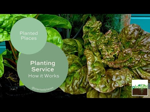 Planted Produce