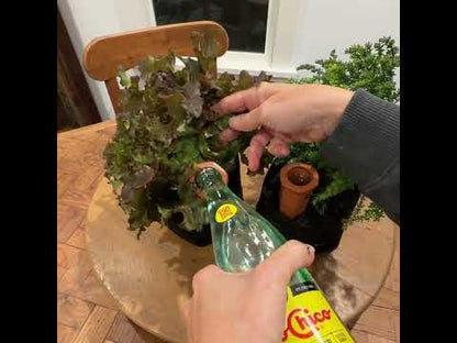 Watering Stake