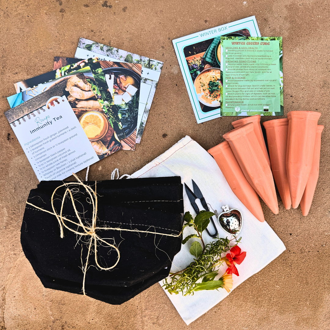 The Seasonal Garden Kit