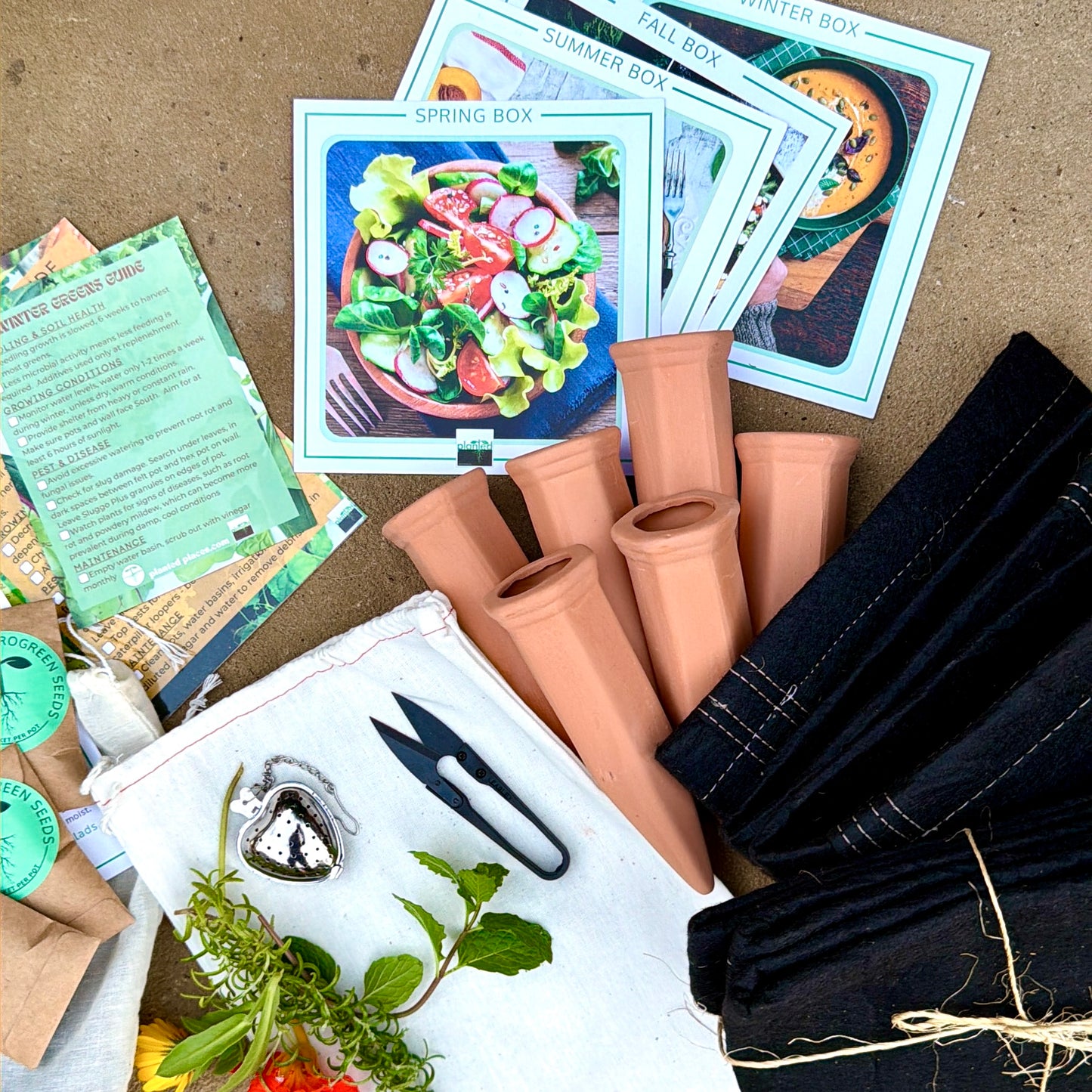 Seasonal Garden Kit