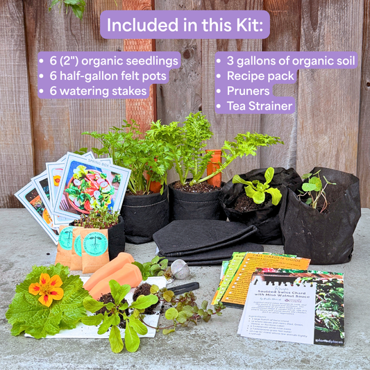 The Seasonal Garden Kit