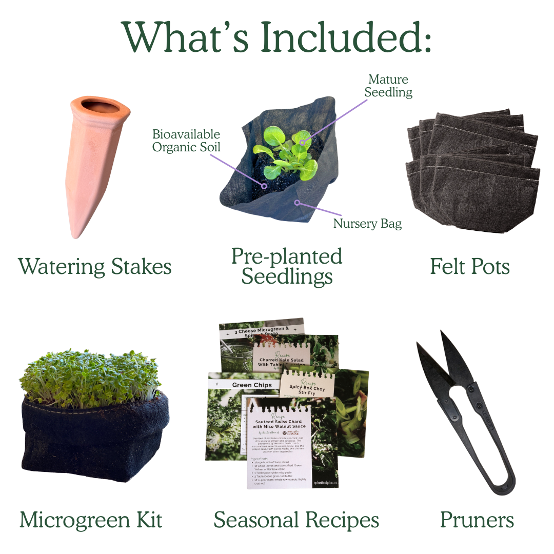 plant pot subscription Seasonal Garden Kit DIY